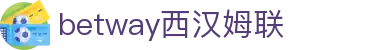 BETWAY·必威(西汉姆联)官方网站-West Ham United